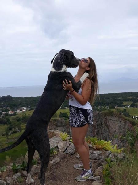 Pousada Mk Tour Rio de Janeiro Luaran gambar